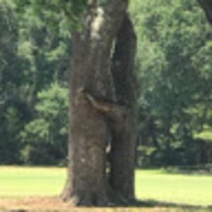 Meet your Posher, Carrie